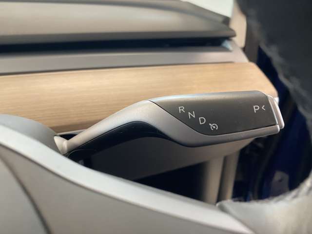 テスラ モデル３ ロングレンジ R4年 (関東) 99