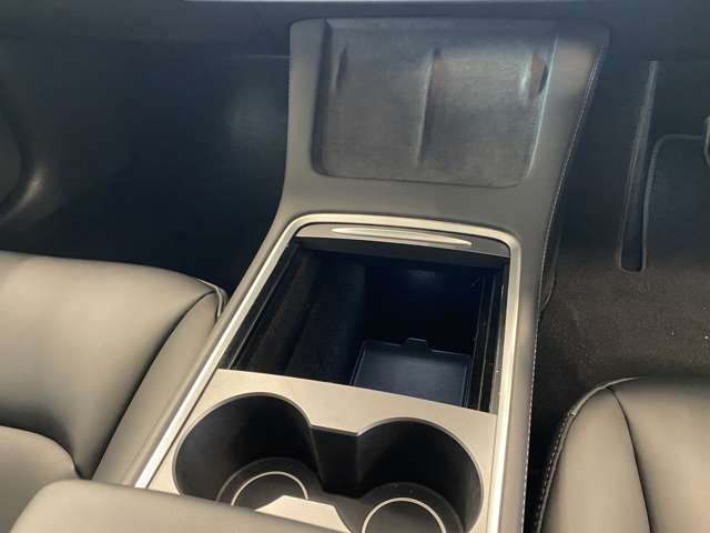 テスラ モデル３ ロングレンジ R4年 (関東) 99