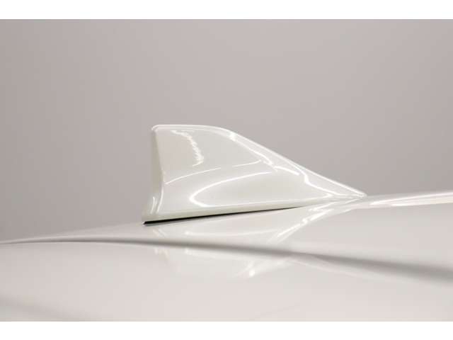 トヨタ アルファード ２．５ Ｓ Ｃパッケージ R1年 (東海) 99