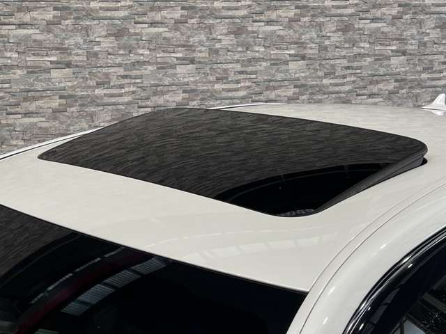 レクサス ＬＳ４６０ バージョンＣ H25年 (関東) 99