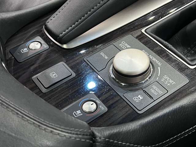 レクサス ＬＳ４６０ バージョンＣ H25年 (関東) 99