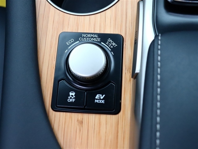 レクサス ＲＸ４５０ｈ ４５０Ｈ バージョンＬ ４ＷＤ H28年 (関東) 99