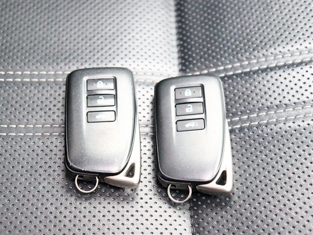 レクサス ＲＸ４５０ｈ ４５０Ｈ バージョンＬ ４ＷＤ H28年 (関東) 99