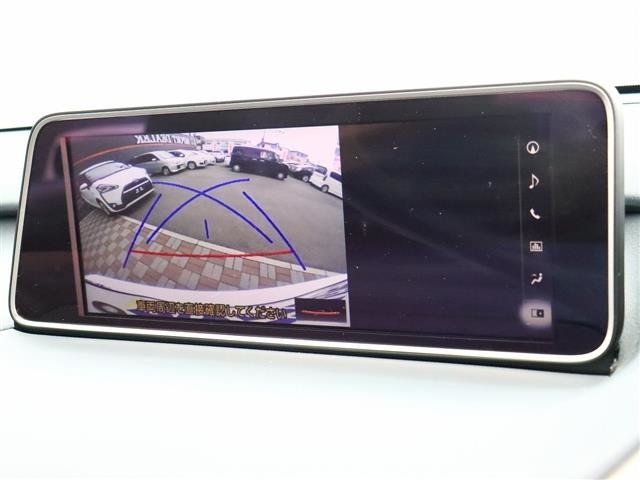 レクサス ＲＸ２００ｔ Ｆスポーツ H29年 (関東) 99