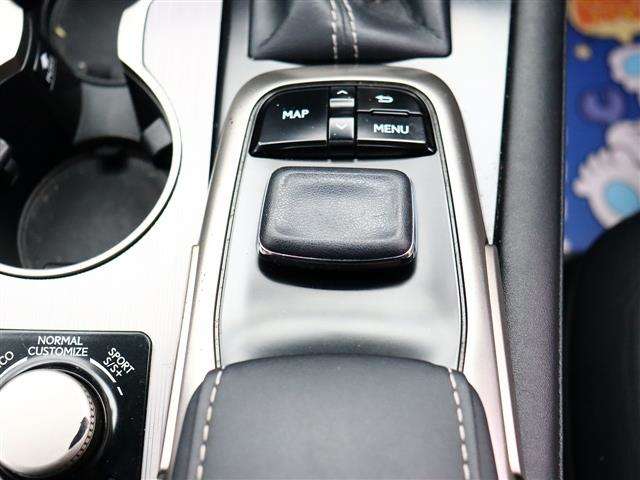 レクサス ＲＸ２００ｔ Ｆスポーツ H29年 (関東) 99