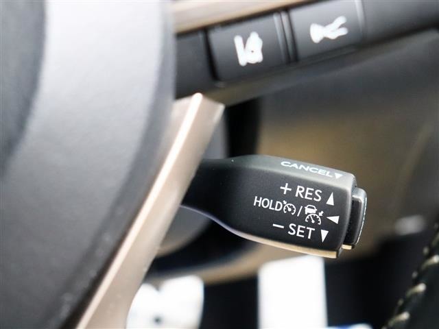 レクサス ＲＸ２００ｔ Ｆスポーツ H29年 (関東) 99