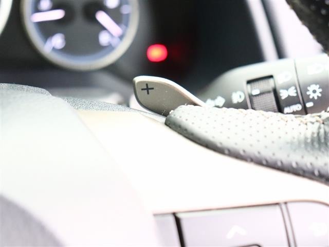 レクサス ＲＸ２００ｔ Ｆスポーツ H29年 (関東) 99