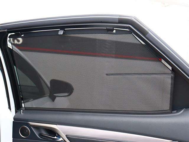 レクサス ＲＸ２００ｔ Ｆスポーツ H29年 (関東) 99