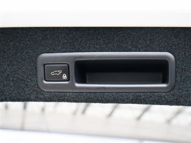 レクサス ＲＸ２００ｔ Ｆスポーツ H29年 (関東) 99