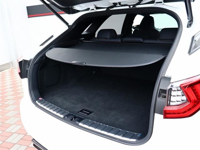 レクサス ＲＸ２００ｔ Ｆスポーツ H29年 (関東) 99