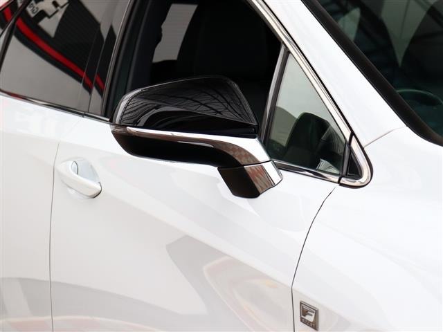 レクサス ＲＸ２００ｔ Ｆスポーツ H29年 (関東) 99