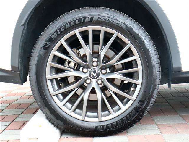 レクサス ＲＸ２００ｔ Ｆスポーツ H29年 (関東) 99