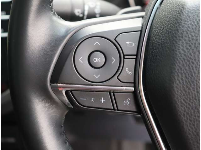 トヨタ カムリ ２．５ ＷＳ レザーパッケージ R1年 (関東) 99