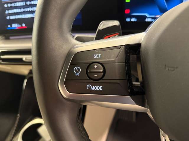 ＢＭＷ ｉＸ１ Ｘドライブ３０ Ｍスポーツ ４ＷＤ R5年 (関東) 99