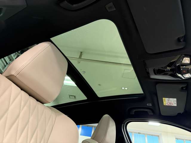 ＢＭＷ ｉＸ１ Ｘドライブ３０ Ｍスポーツ ４ＷＤ R5年 (関東) 99