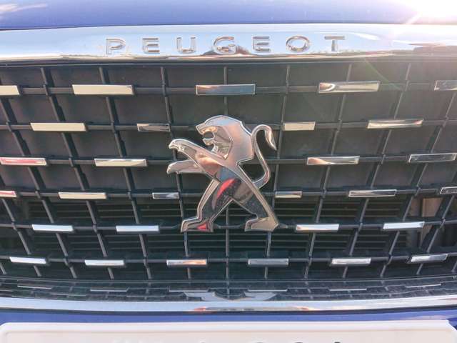 プジョー ３００８ ブルーＨＤＩ クリーン エディション ディーゼルターボ R1年 (東北) 99