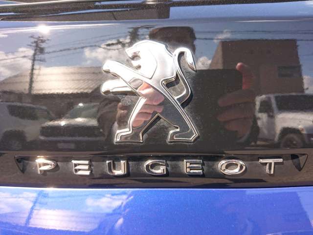 プジョー ３００８ ブルーＨＤＩ クリーン エディション ディーゼルターボ R1年 (東北) 99