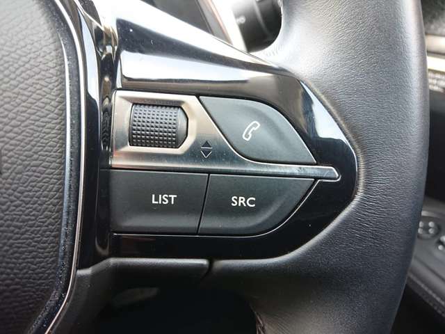 プジョー ３００８ ブルーＨＤＩ クリーン エディション ディーゼルターボ R1年 (東北) 99