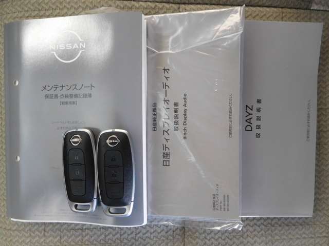 日産 デイズ ６６０ Ｘ R6年 (九州・沖縄) 99