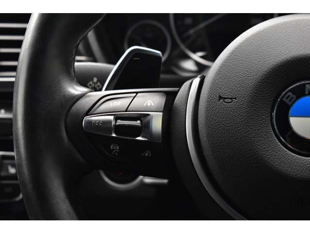 ＢＭＷ ３シリーズ ３２０Ｉ Ｍスポーツ H28年 (関東) 99