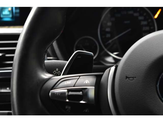 ＢＭＷ ３シリーズ ３２０Ｉ Ｍスポーツ H28年 (関東) 99