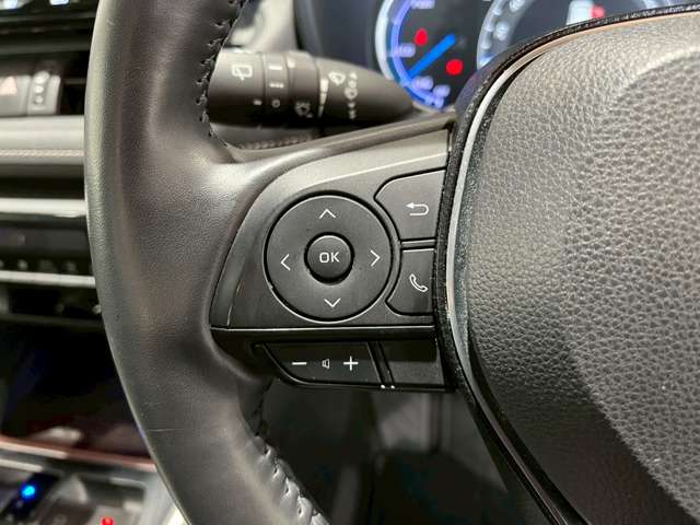 トヨタ ＲＡＶ４ ２．５ ハイブリッド Ｇ Ｅ－ＦＯＵＲ ４ＷＤ R2年 (近畿) 99