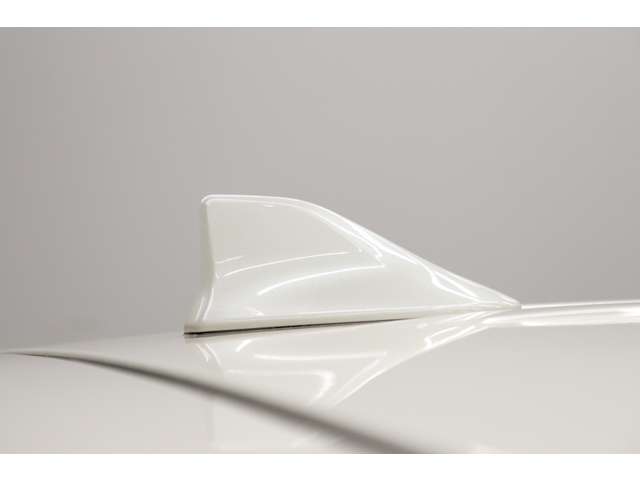 トヨタ ヴェルファイア ２．５ Ｘ R1年 (東海) 99