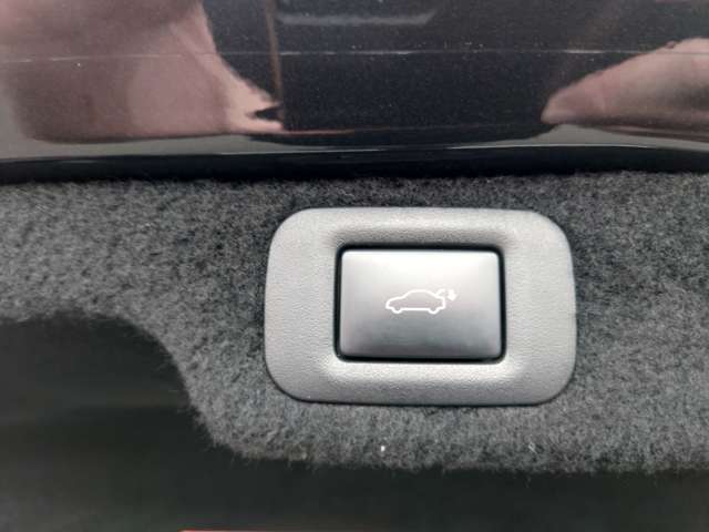 レクサス ＬＳ５００ｈ バージョンＬ R1年 (中国) 99