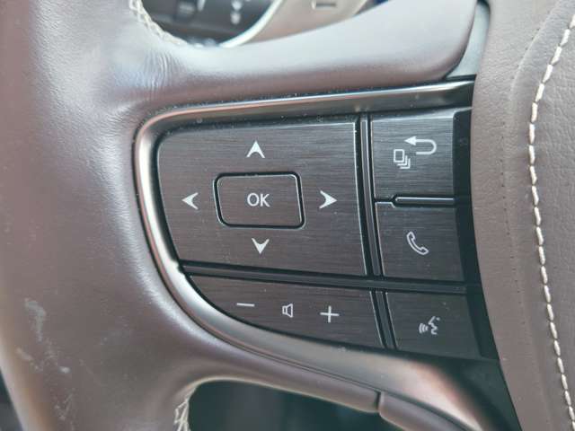 レクサス ＬＳ５００ｈ バージョンＬ R1年 (中国) 99