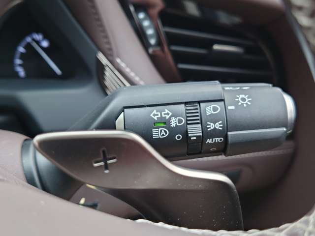 レクサス ＬＳ５００ｈ バージョンＬ R1年 (中国) 99