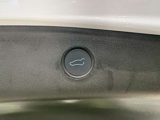 テスラ モデル３ ロングレンジ R3年 (関東) 99