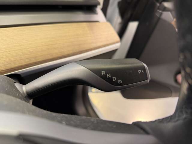 テスラ モデル３ ロングレンジ R3年 (関東) 99