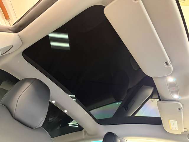 テスラ モデル３ ロングレンジ R3年 (関東) 99