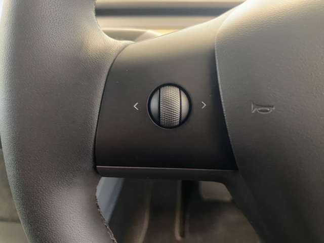 テスラ モデルＹ ＲＷＤ R5年 (関東) 99