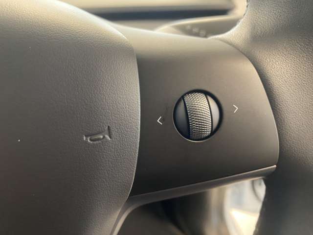 テスラ モデルＹ ＲＷＤ R5年 (関東) 99