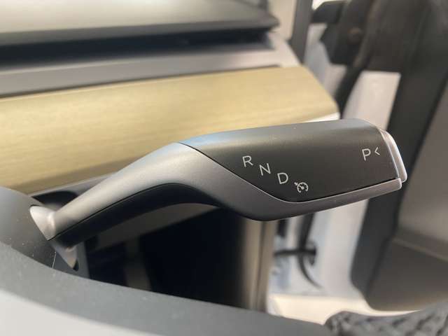 テスラ モデルＹ ＲＷＤ R5年 (関東) 99