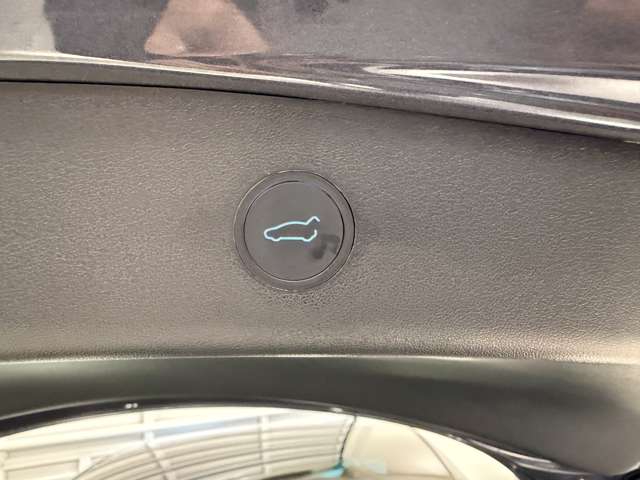 テスラ モデル３ スタンダードレンジプラス R3年 (関東) 99