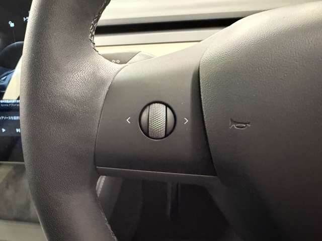 テスラ モデル３ スタンダードレンジプラス R3年 (関東) 99