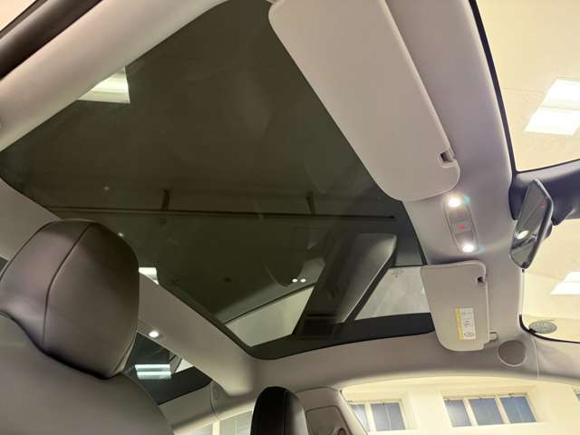 テスラ モデル３ スタンダードレンジプラス R3年 (関東) 99