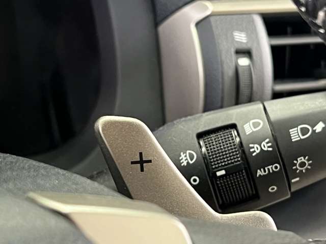 レクサス ＲＣ２００ｔ Ｆスポーツ H29年 (関東) 99