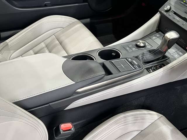 レクサス ＲＣ２００ｔ Ｆスポーツ H29年 (関東) 99