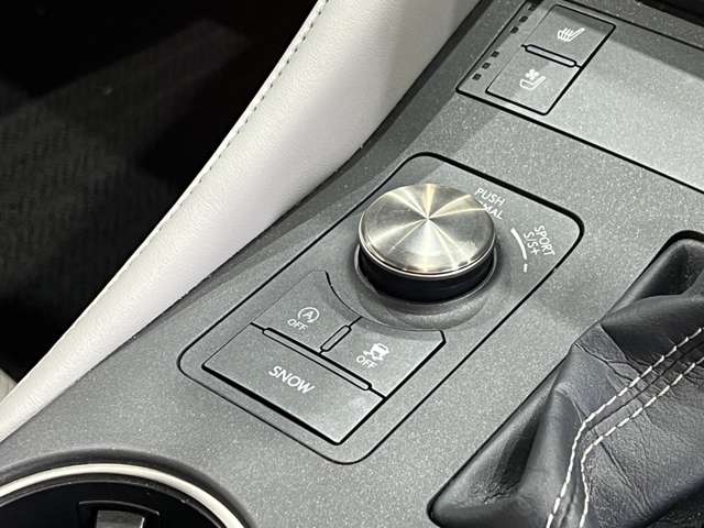 レクサス ＲＣ２００ｔ Ｆスポーツ H29年 (関東) 99