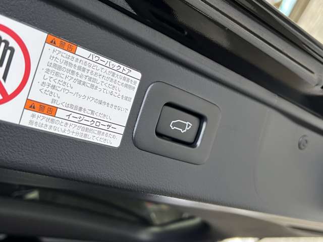 トヨタ アルファード ３．５ エグゼクティブ ラウンジ H28年 (関東) 99