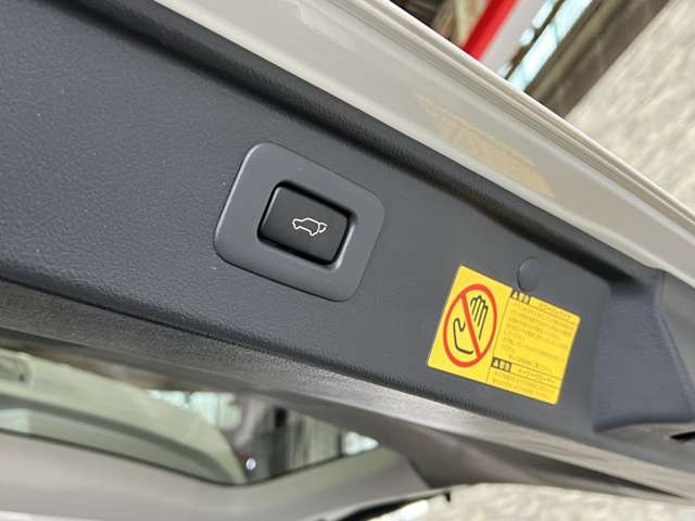 トヨタ ヴェルファイア ３．５ Ｚ プラチナセレクションＩＩ タイプゴールド H22年 (関東) 99