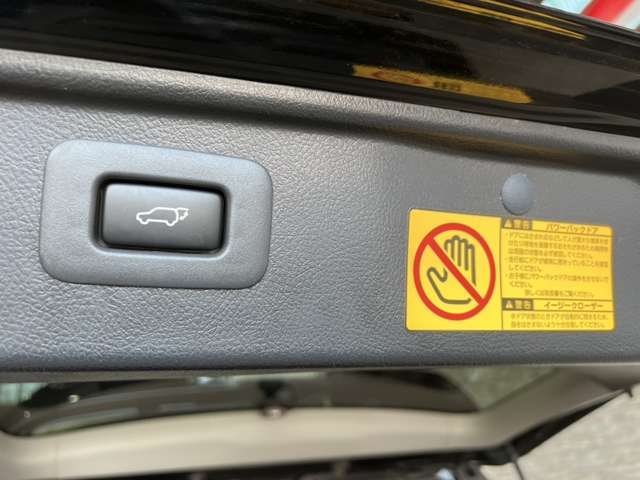 トヨタ アルファード　ハイブリッド ２．４ ＳＲ Ｃパッケージ ４ＷＤ H25年 (関東) 99