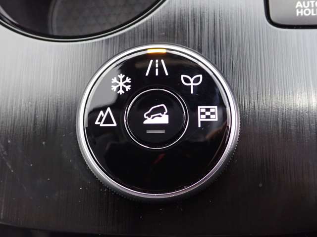 日産 エクストレイル １．５ Ｘ Ｅ－４ＯＲＣＥ ４ＷＤ R5年 (関東) 99