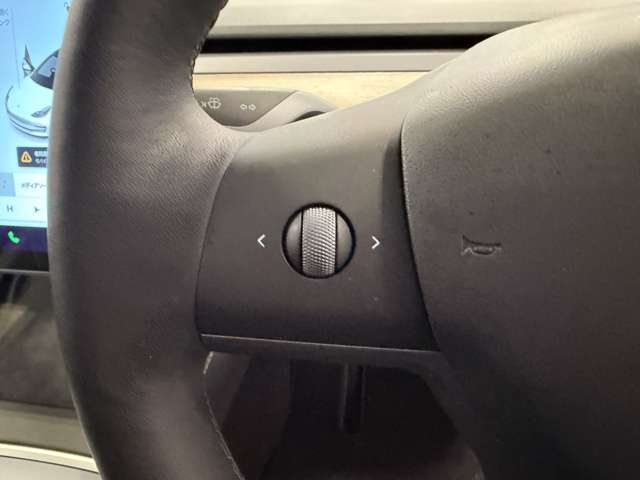 テスラ モデル３ スタンダードレンジ R3年 (関東) 99