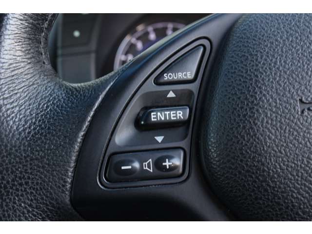 日産 スカイライン ２．５ ２５０ＧＴ タイプＰ H22年 (関東) 99