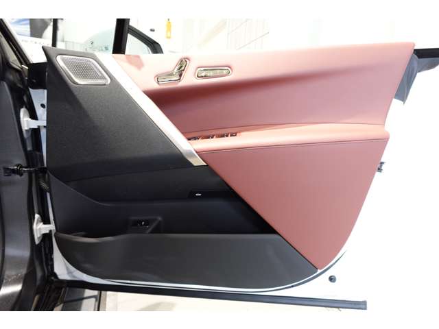 ＢＭＷ ｉＸ Ｘドライブ５０ ４ＷＤ R5年 (近畿) 99