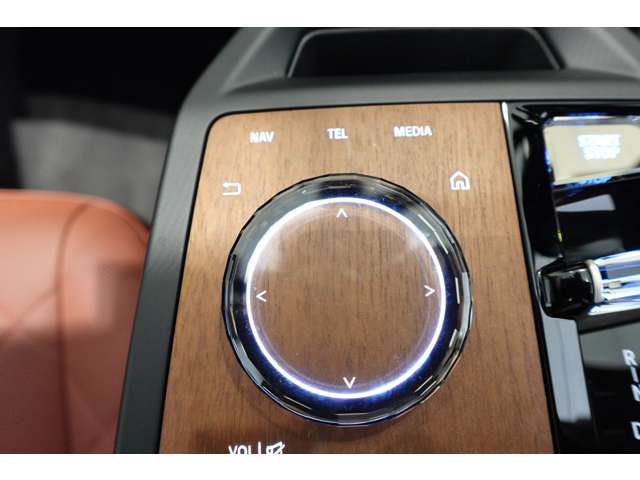 ＢＭＷ ｉＸ Ｘドライブ５０ ４ＷＤ R5年 (近畿) 99